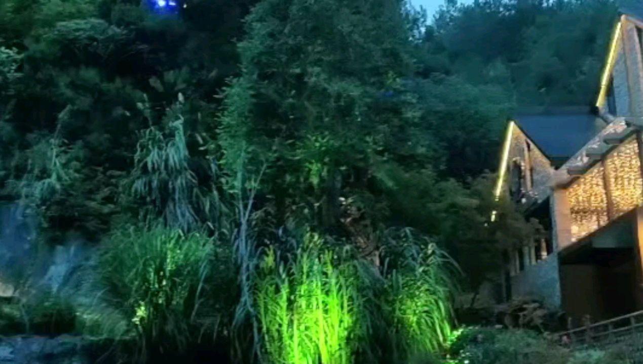 88影视